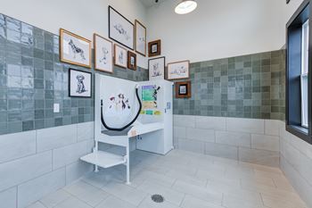 Pet spa station
